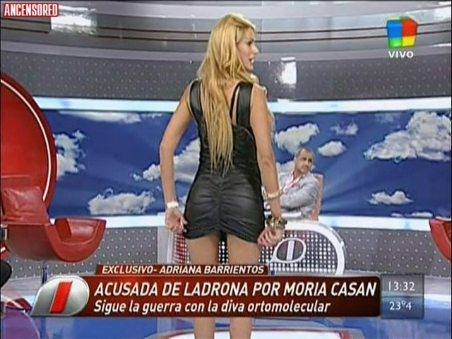 Adriana Barrientos con falda corta 54